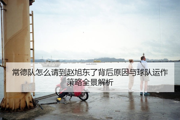 常德队怎么请到赵旭东了背后原因与球队运作策略全景解析